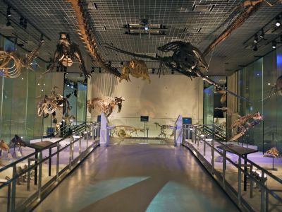 National  Museum Of Nature And Science