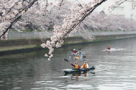 Tokyo Great Kayaking Tour