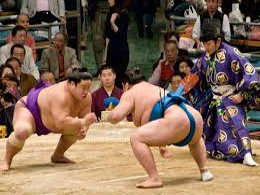 japan-sumo