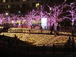 meguro-gawa-minna-no-illumination